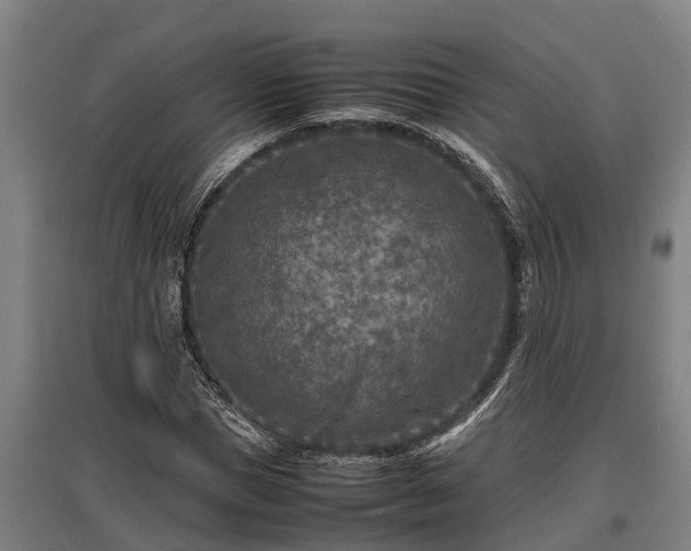X0000095940921200801181357