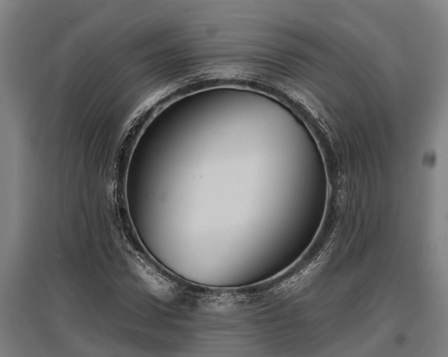 X0000095940922200801181357