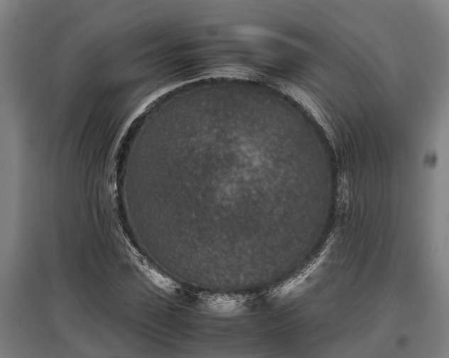 X0000095940923200801181357