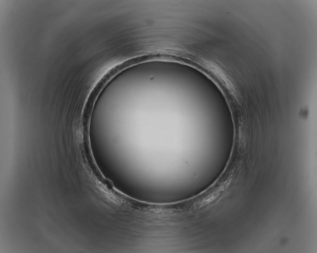 X0000095940924200801181357
