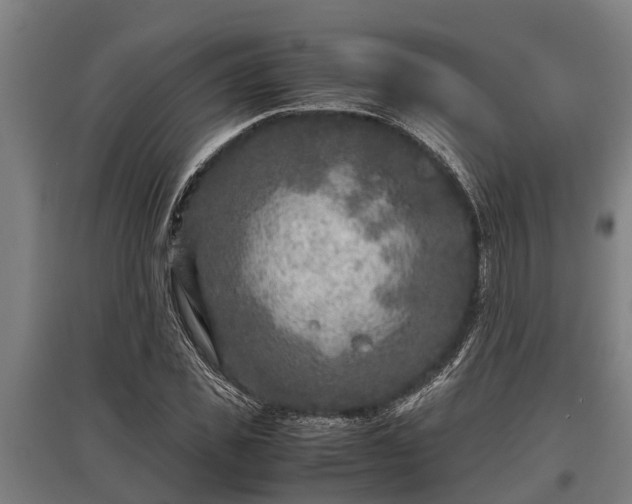 X0000095940925200801181357