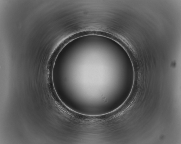 X0000095940926200801181357