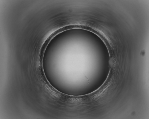 X0000095940927200801181357