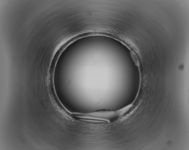 X0000095940928200801181357