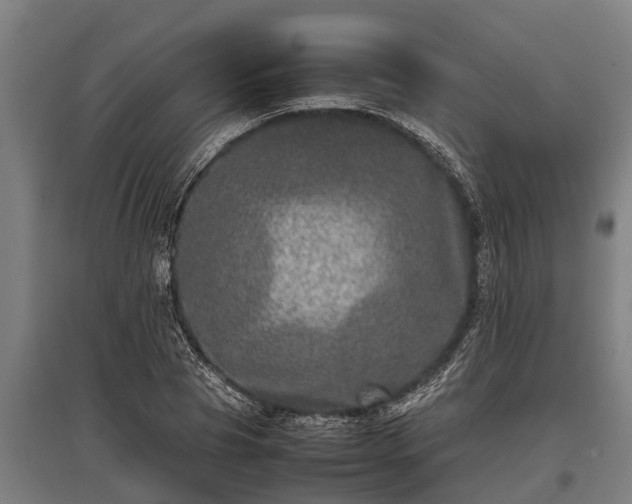 X0000095940929200801181357