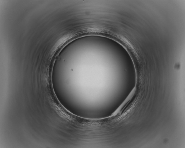 X0000095940930200801181357