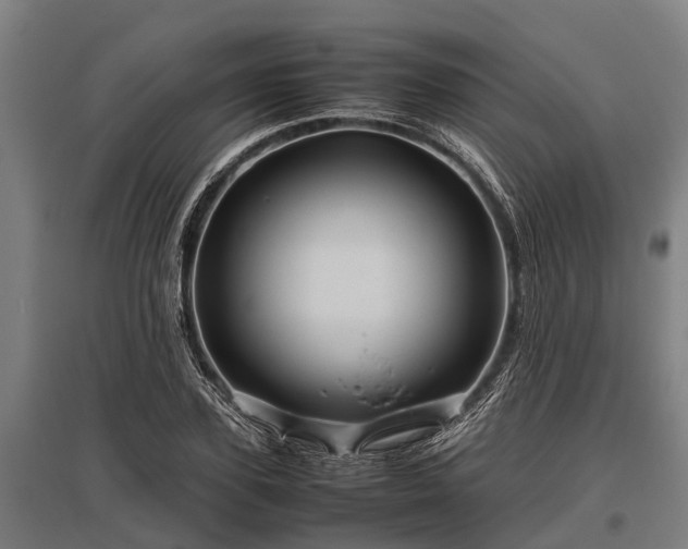 X0000095940931200801181357