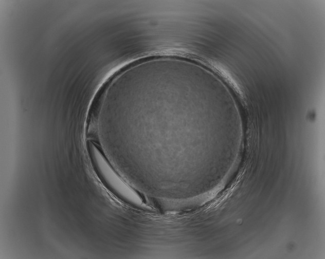 X0000095940932200801181357