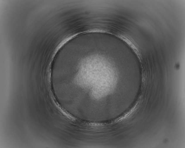 X0000095940933200801181357