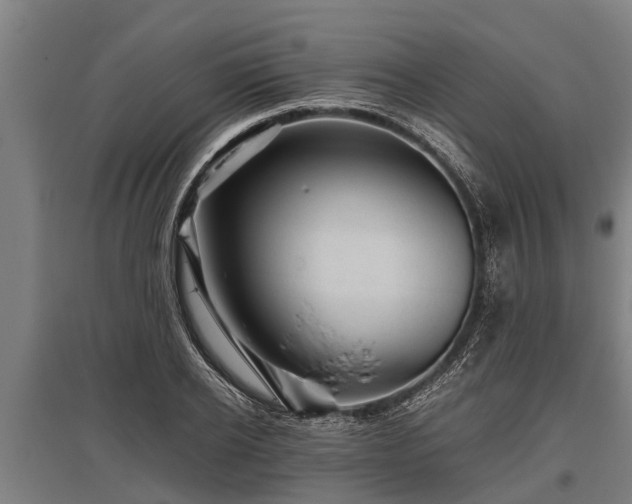X0000095940934200801181357
