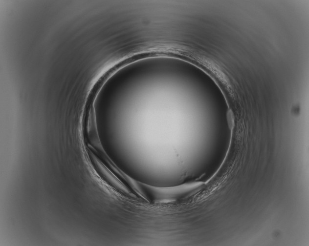 X0000095940936200801181357