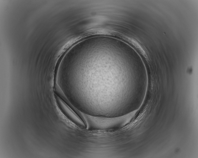 X0000095940938200801181357