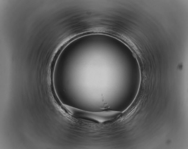 X0000095940939200801181357