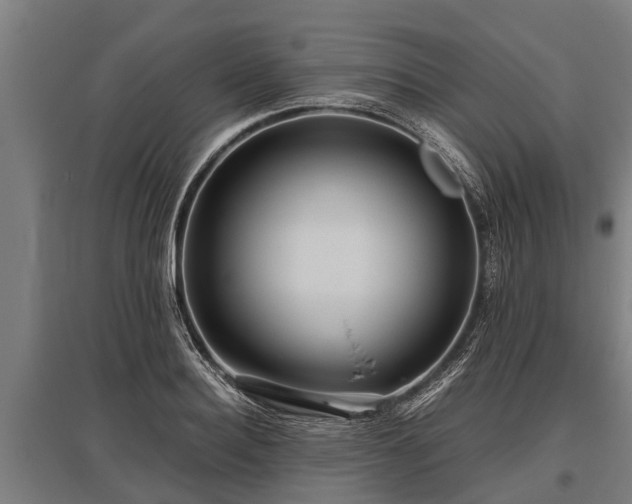 X0000095940940200801181357