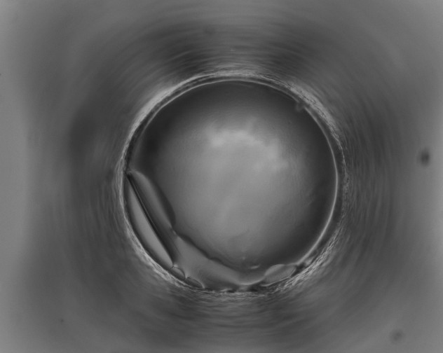 X0000095940941200801181357