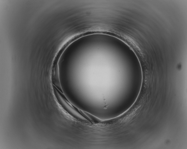 X0000095940942200801181357