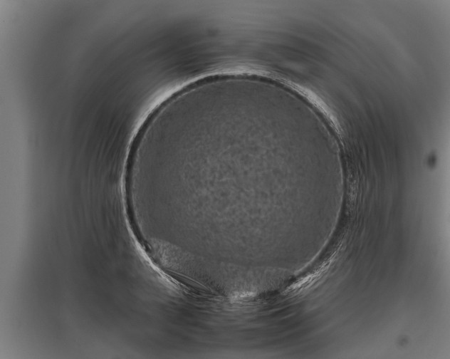 X0000095940943200801181357