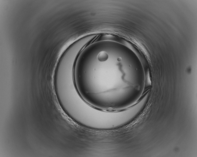X0000095940944200801181357