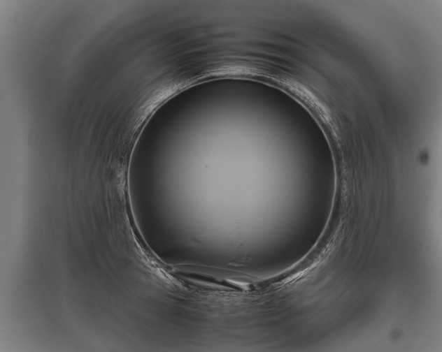 X0000095940945200801181357