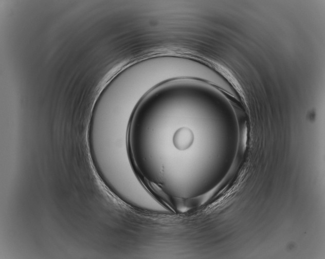 X0000095940946200801181357