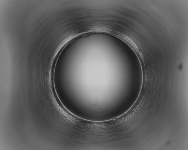 X0000095940947200801181357