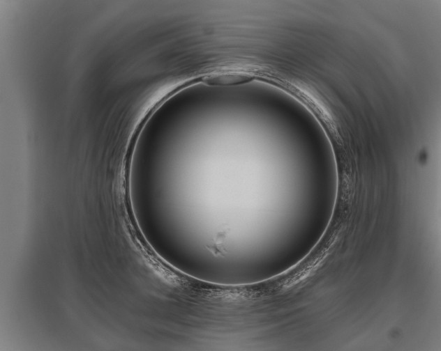 X0000095940948200801181358