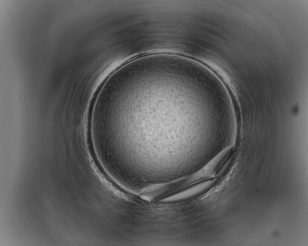 X0000095940949200801181358