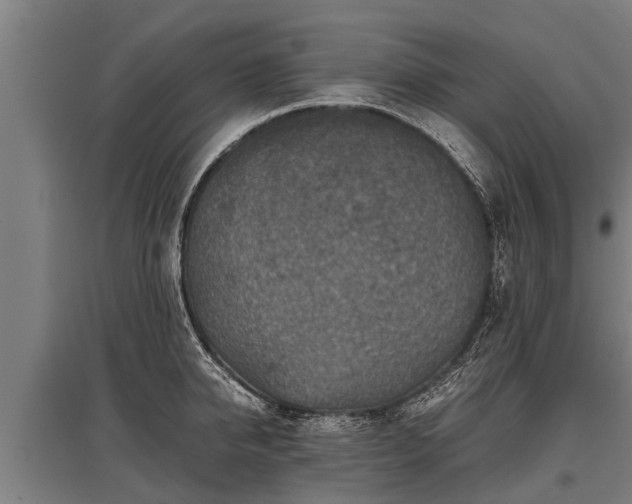 X0000095940950200801181358