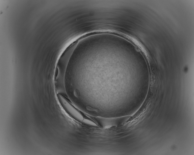 X0000095940951200801181358