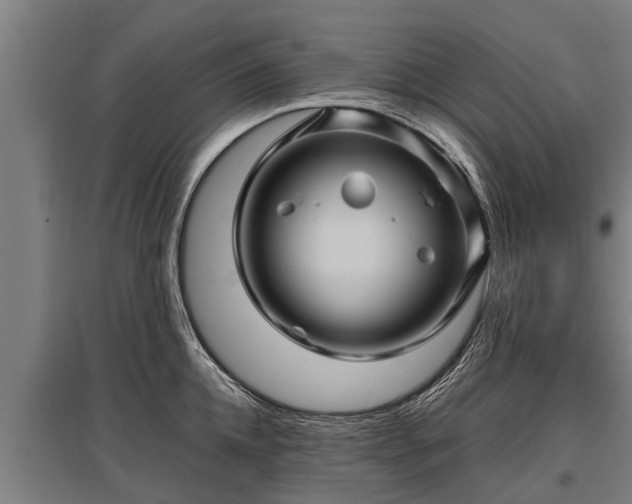 X0000095940952200801181358