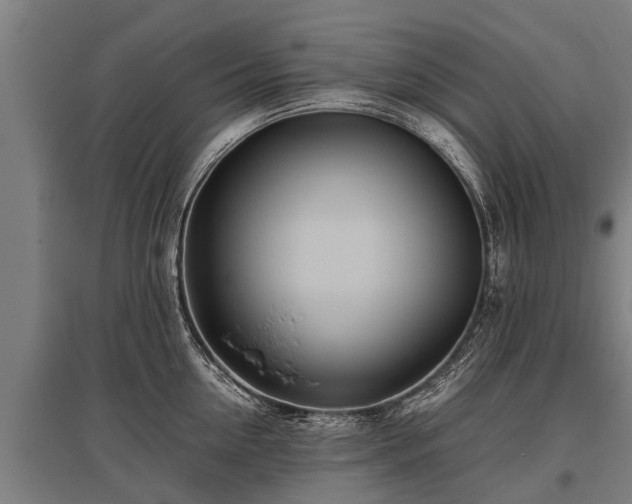 X0000095940954200801181358
