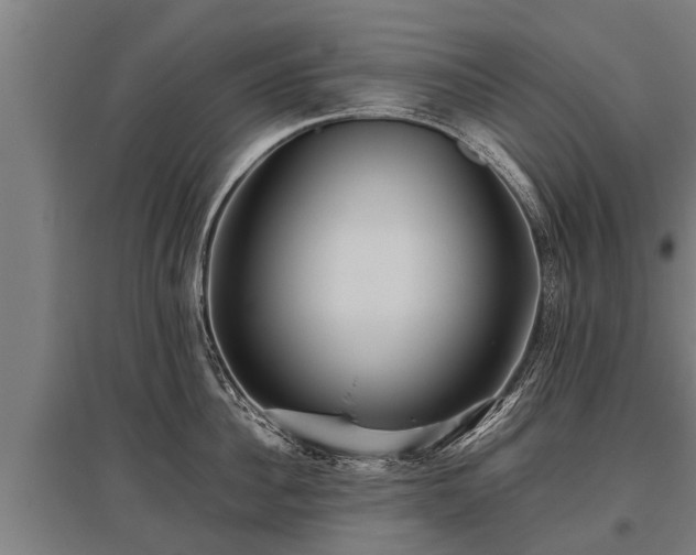 X0000095940956200801181358