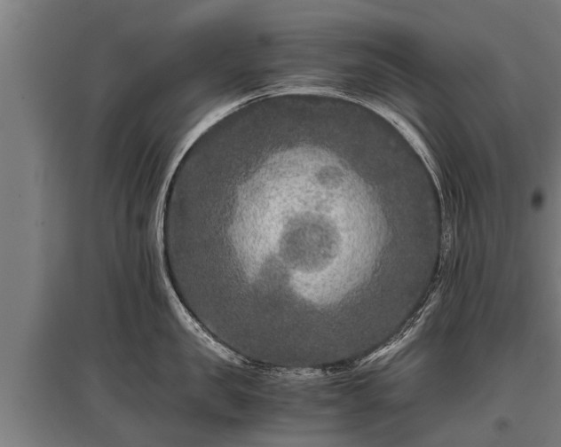 X0000095940957200801181358