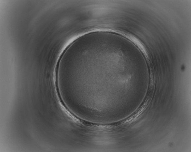 X0000095940958200801181358