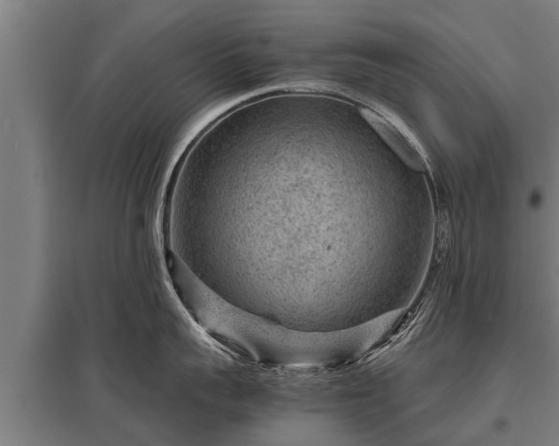 X0000095940959200801181358