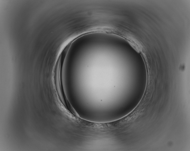 X0000095940960200801181358