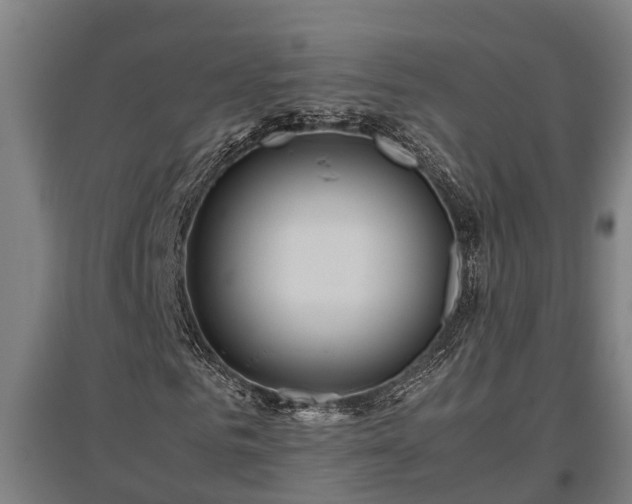 X0000095940961200801181357