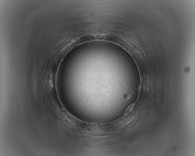 X0000095940962200801181357