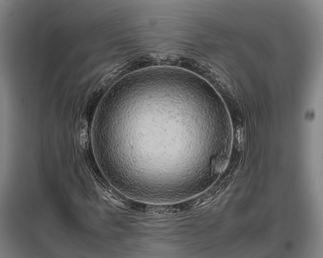 X0000095940963200801181357