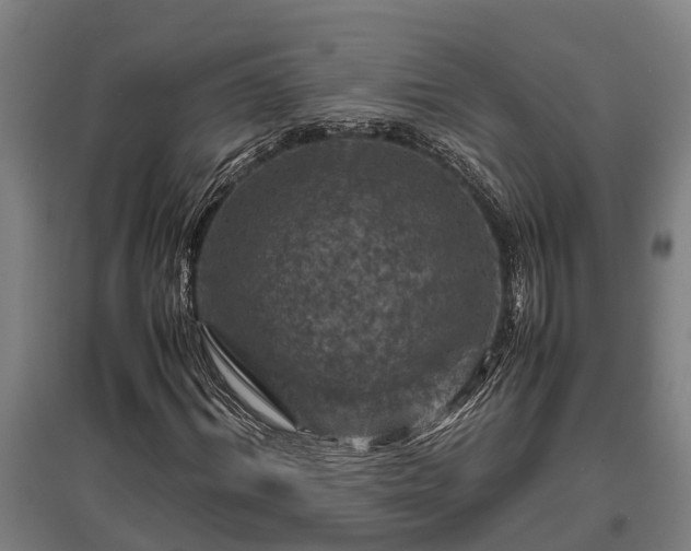 X0000095940964200801181357
