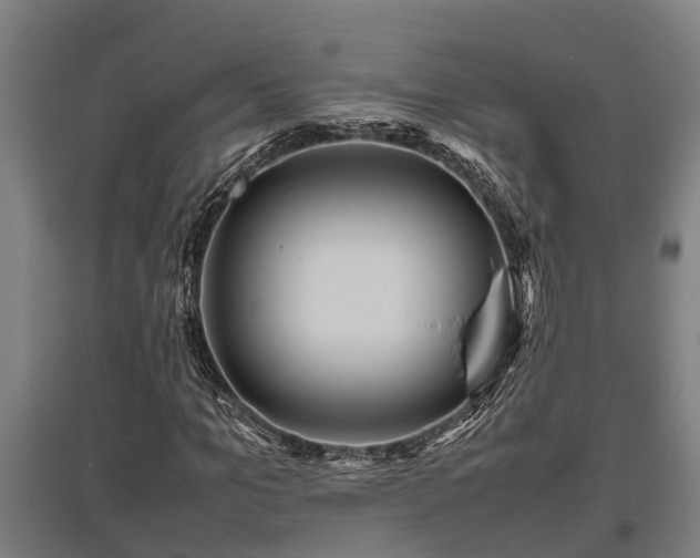 X0000095940965200801181357