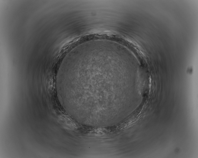 X0000095940966200801181357