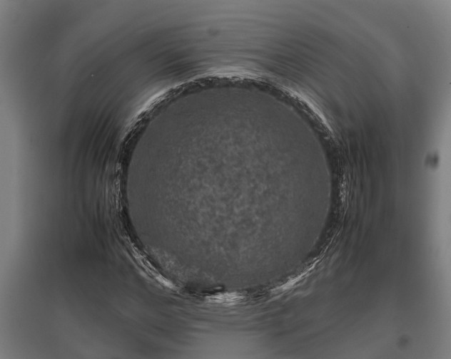 X0000095940968200801181357