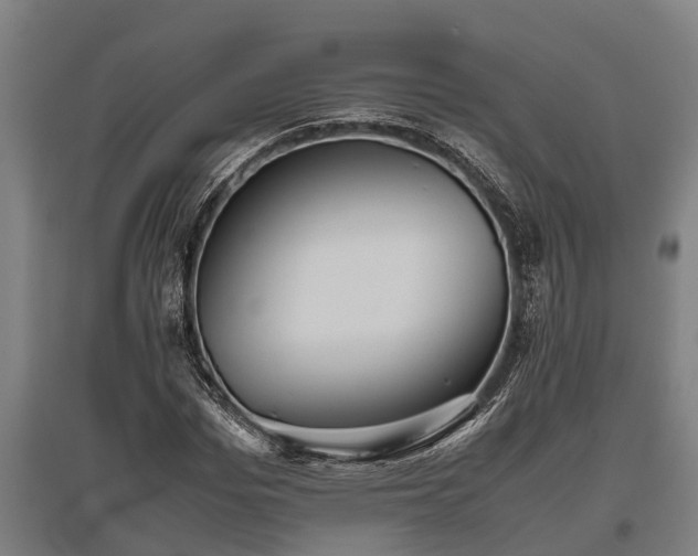 X0000095940969200801181357