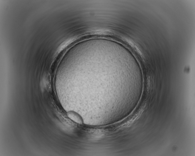 X0000095940970200801181357