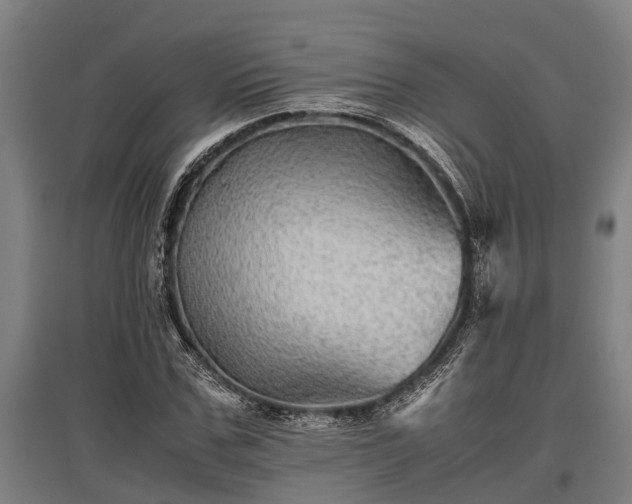 X0000095940971200801181357