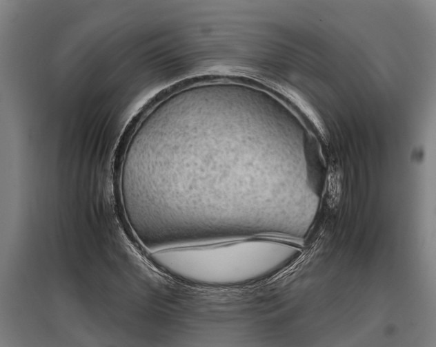 X0000095940972200801181357