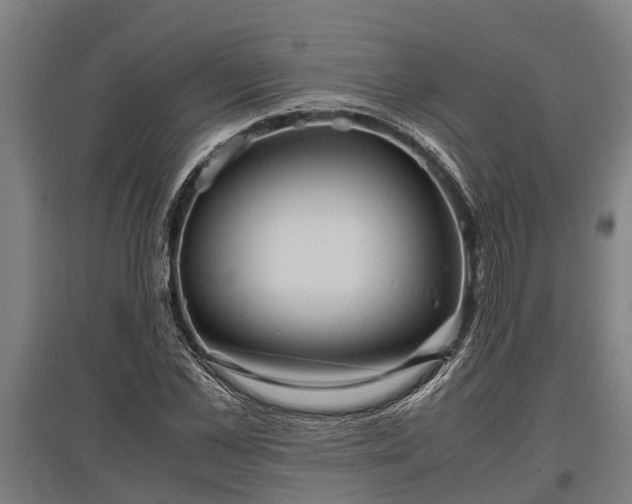 X0000095940973200801181357