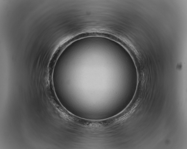 X0000095940974200801181357