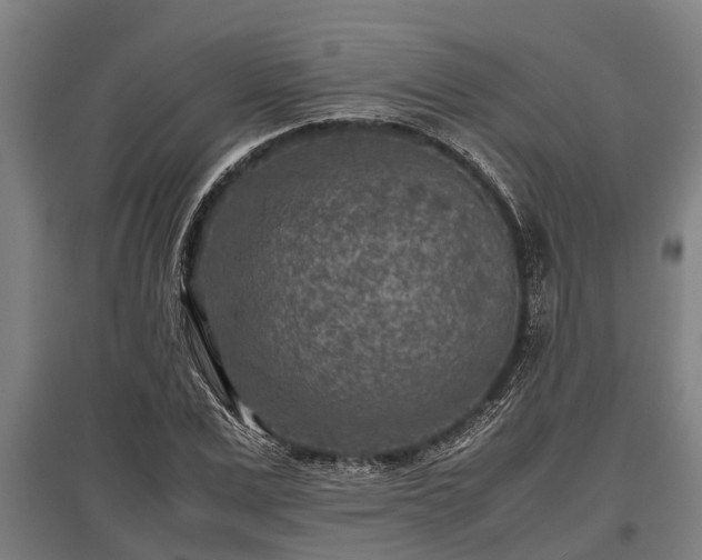 X0000095940975200801181357